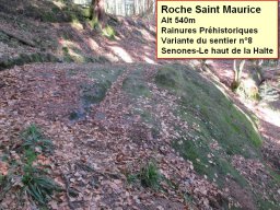 Roche_Saint_Maurice